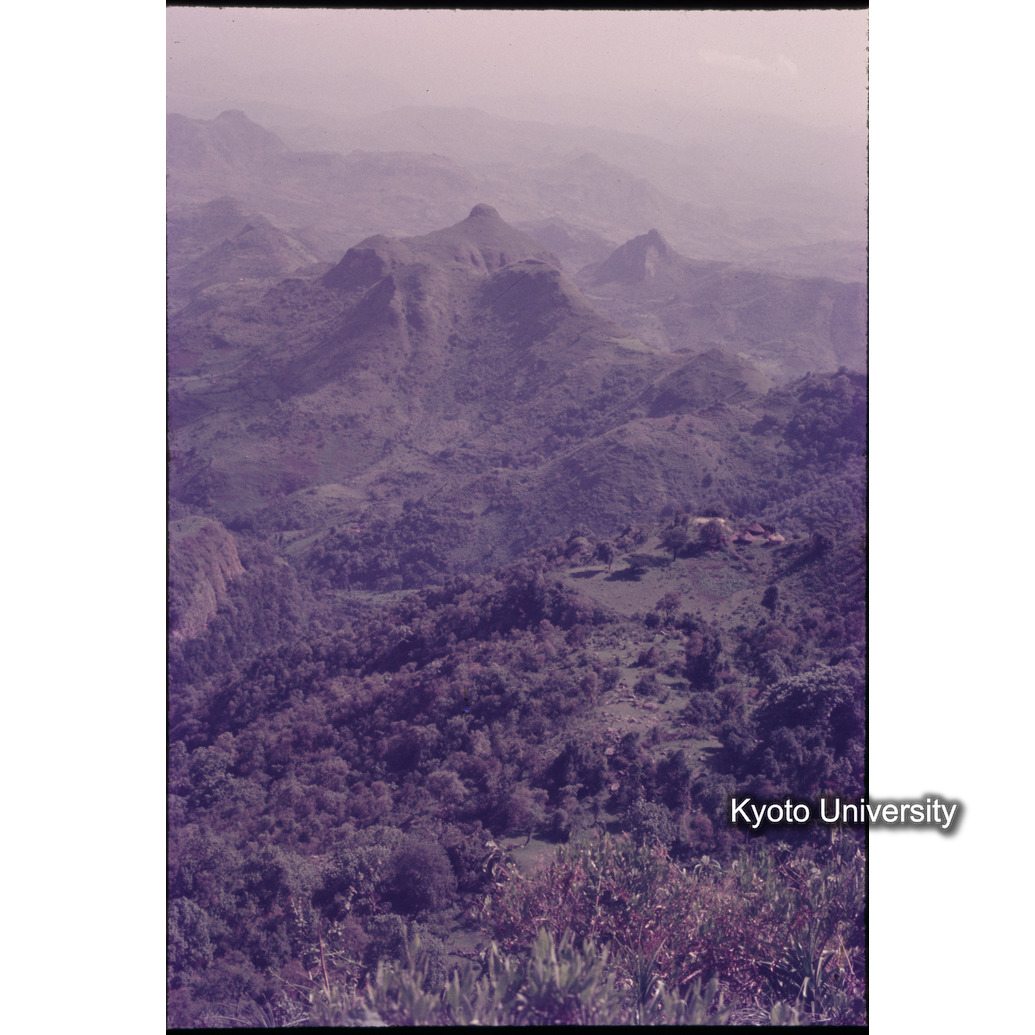 Sm　1973　1155 (1)