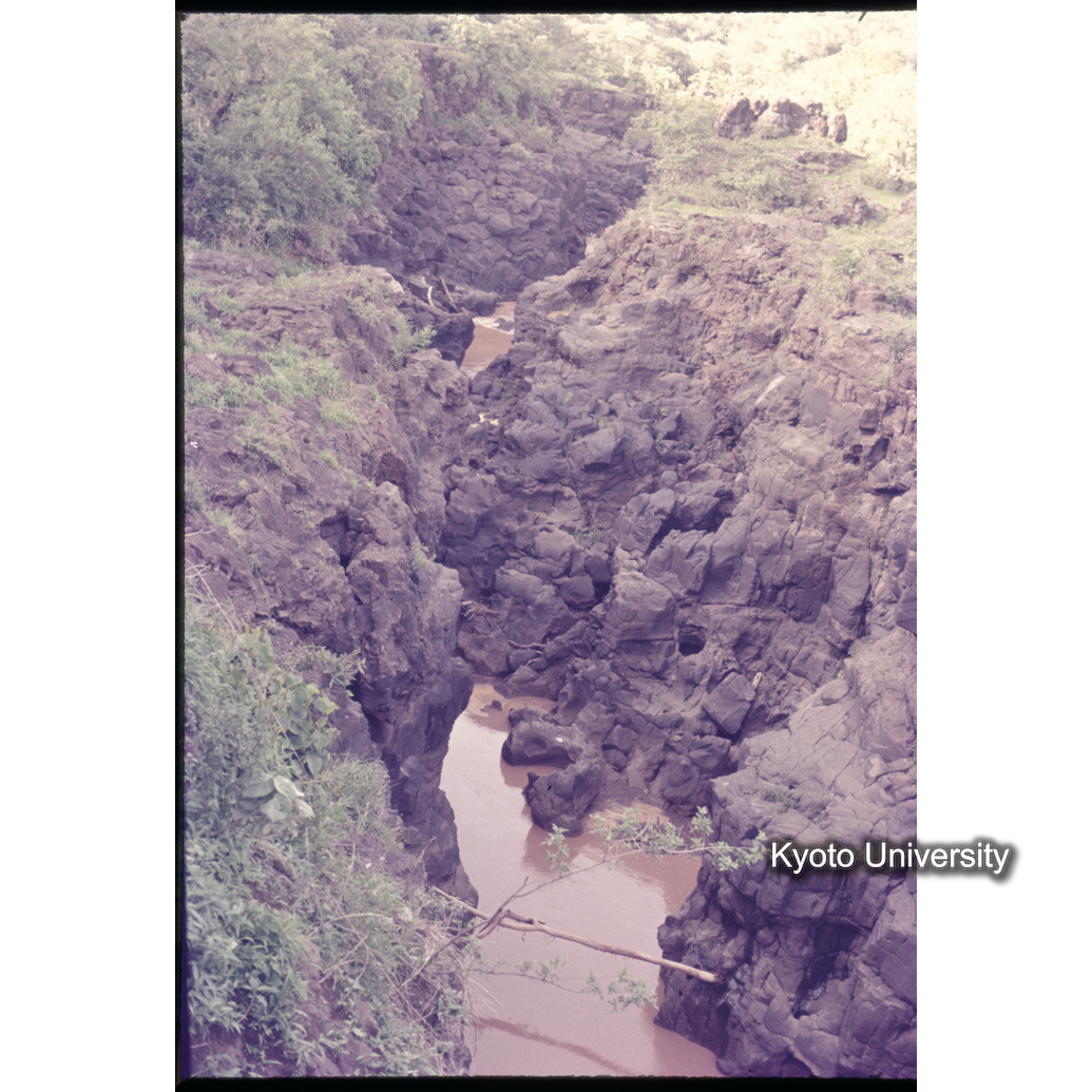 Sm　1973　1156 (1)