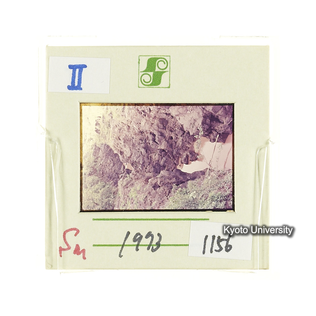 Sm　1973　1156 (2)