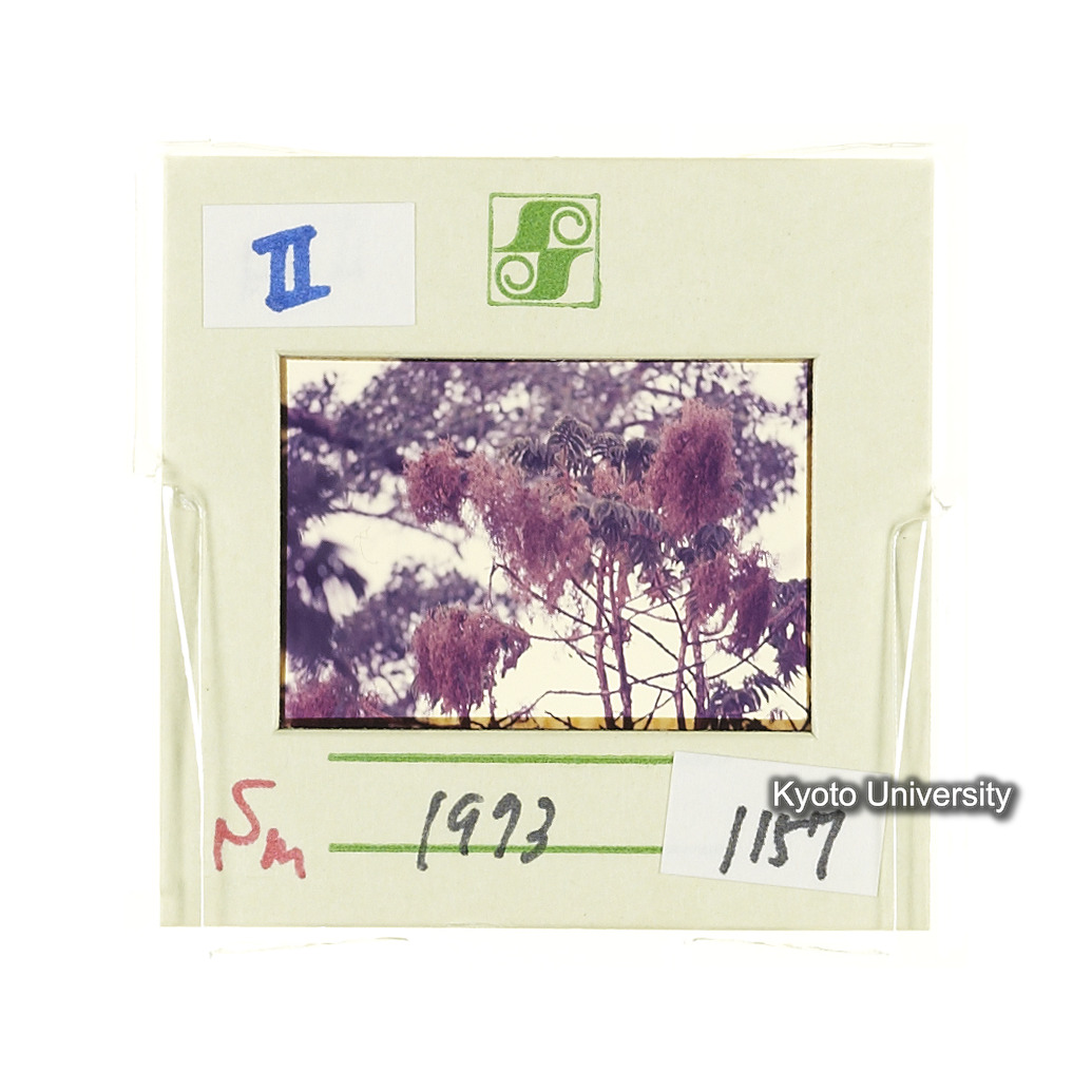 Sm　1973　1157 (2)