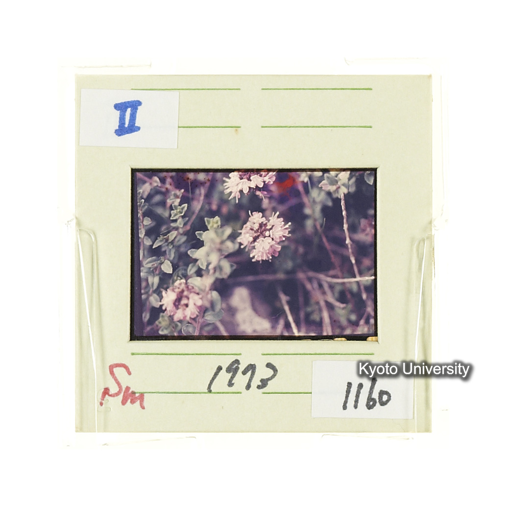 Sm　1973　1160 (2)