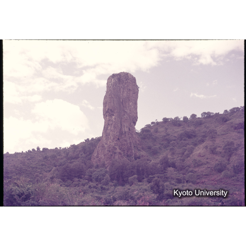 Sm　1973　1162 (1)