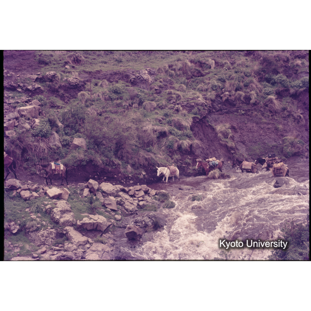 Sm　1973　1169 (1)