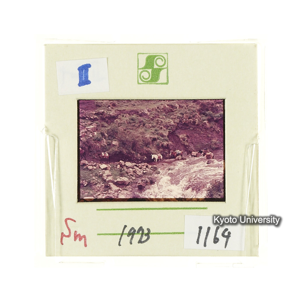 Sm　1973　1169 (2)