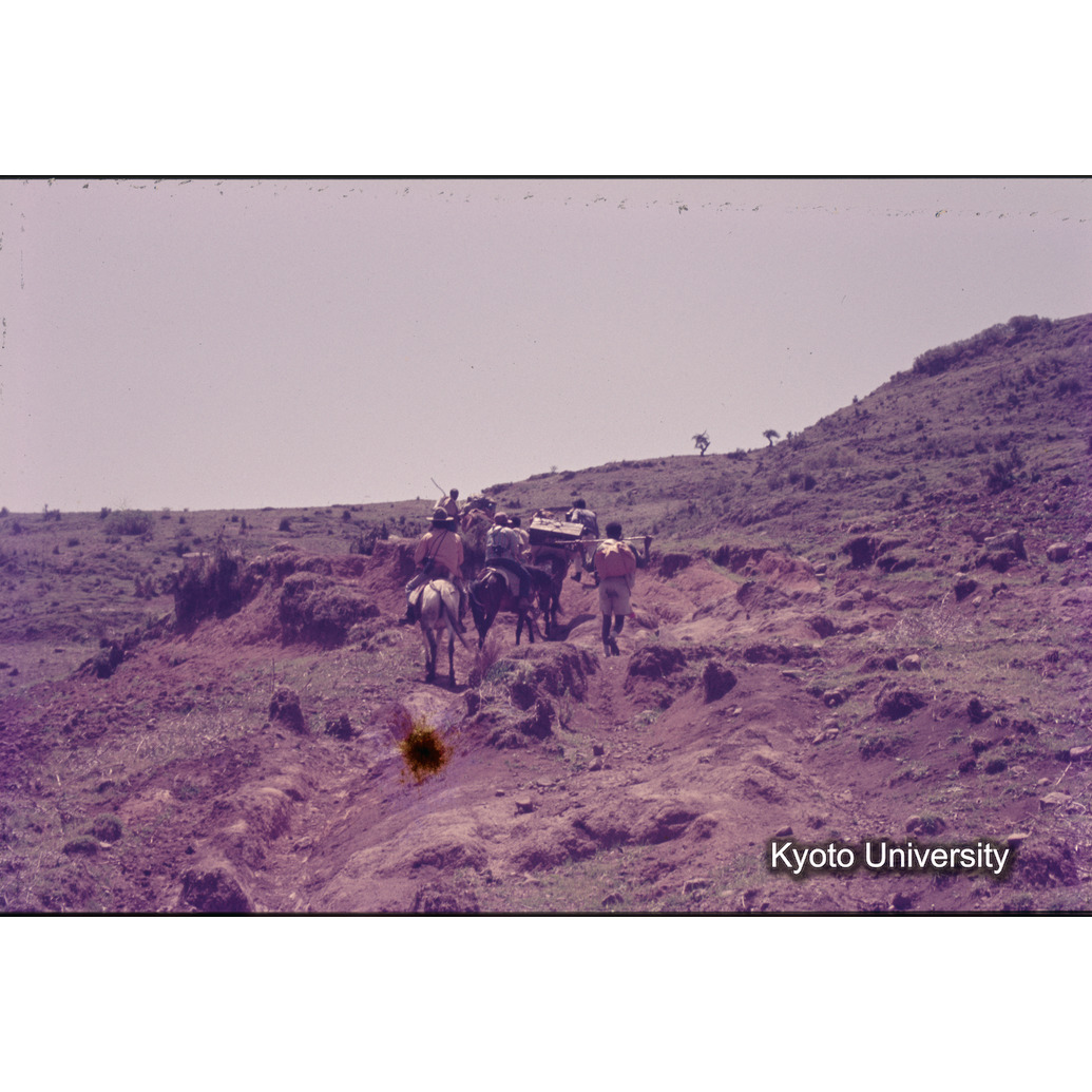 Sm　1973　1178 (1)