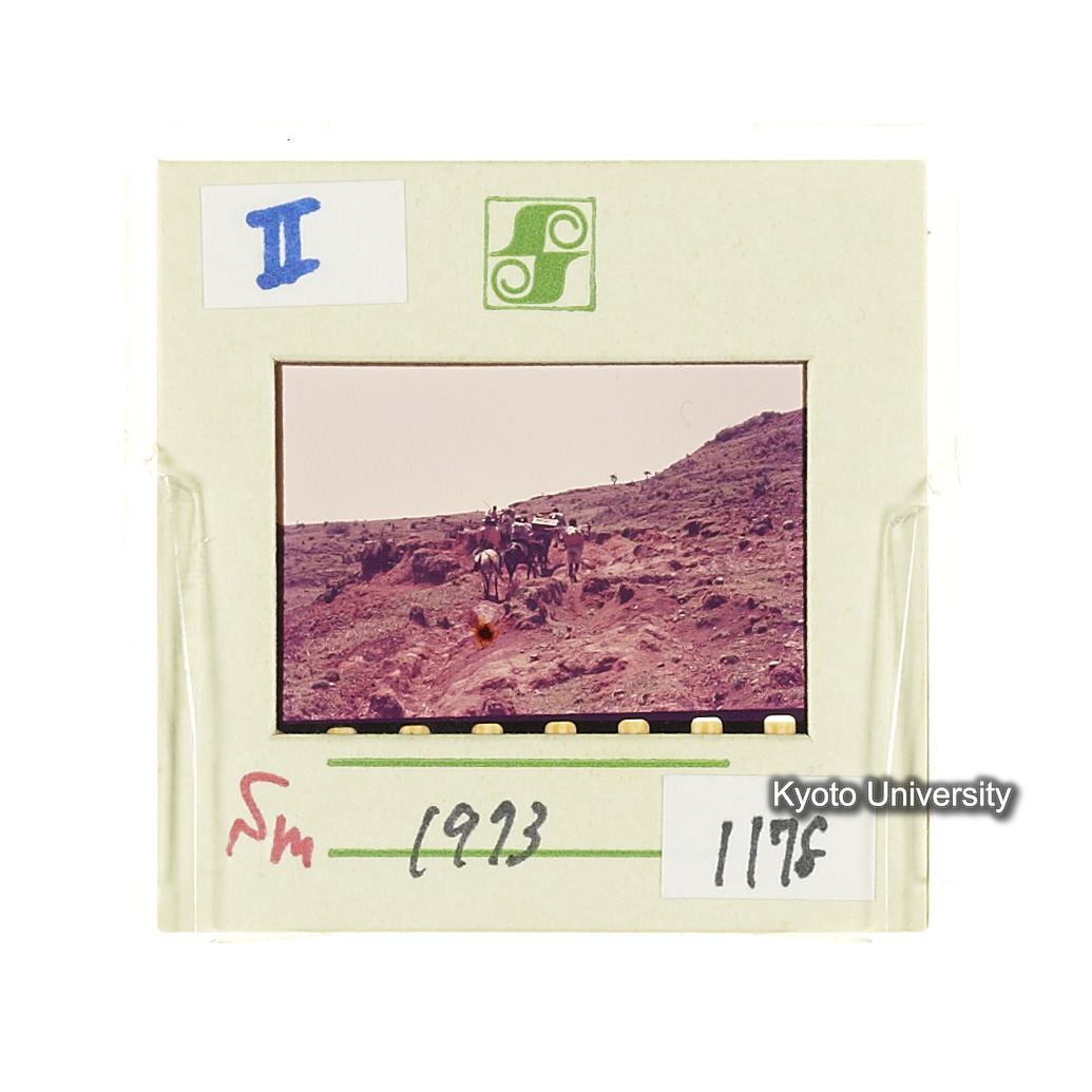 Sm　1973　1178 (2)