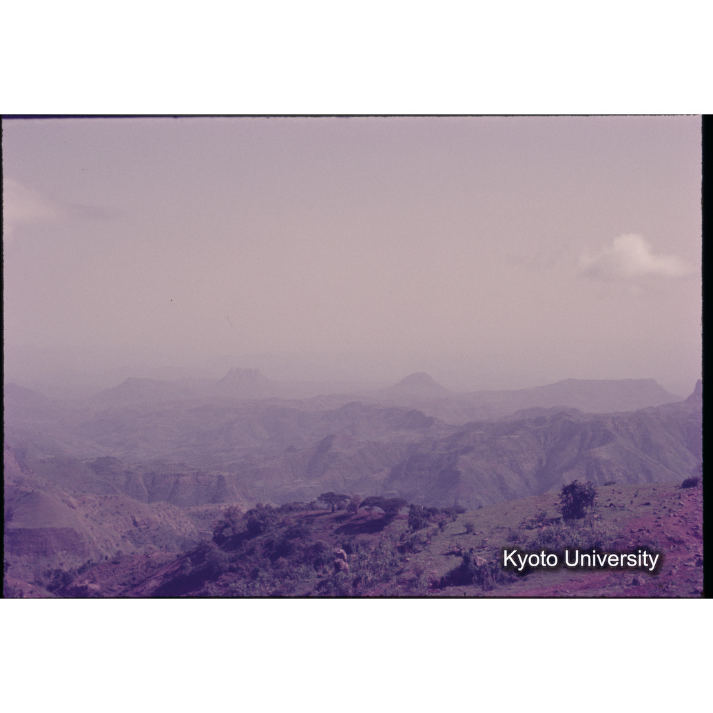 Sm　1973　1195 (1)