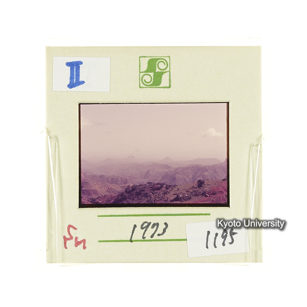 Sm　1973　1195 (2)