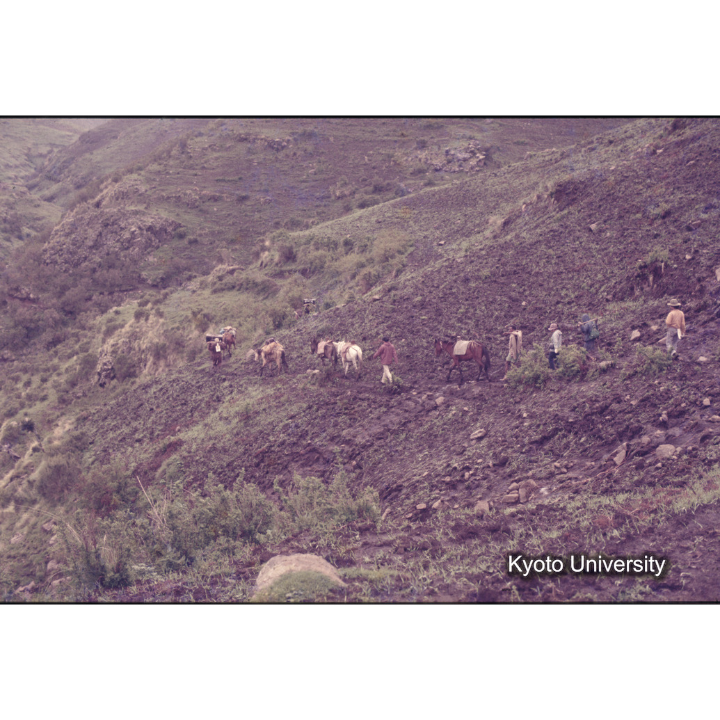 Sm　1973　1306 (1)