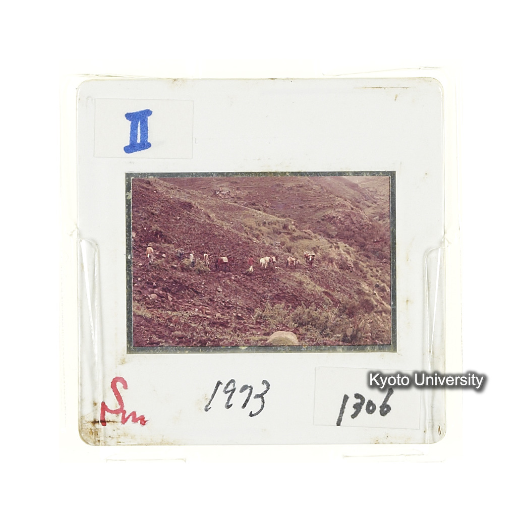 Sm　1973　1306 (2)