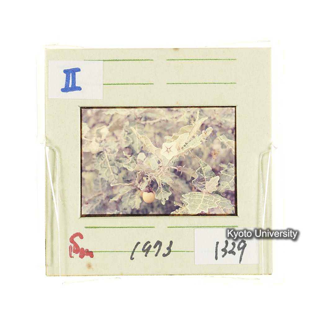 Sm　1973　1329 (2)