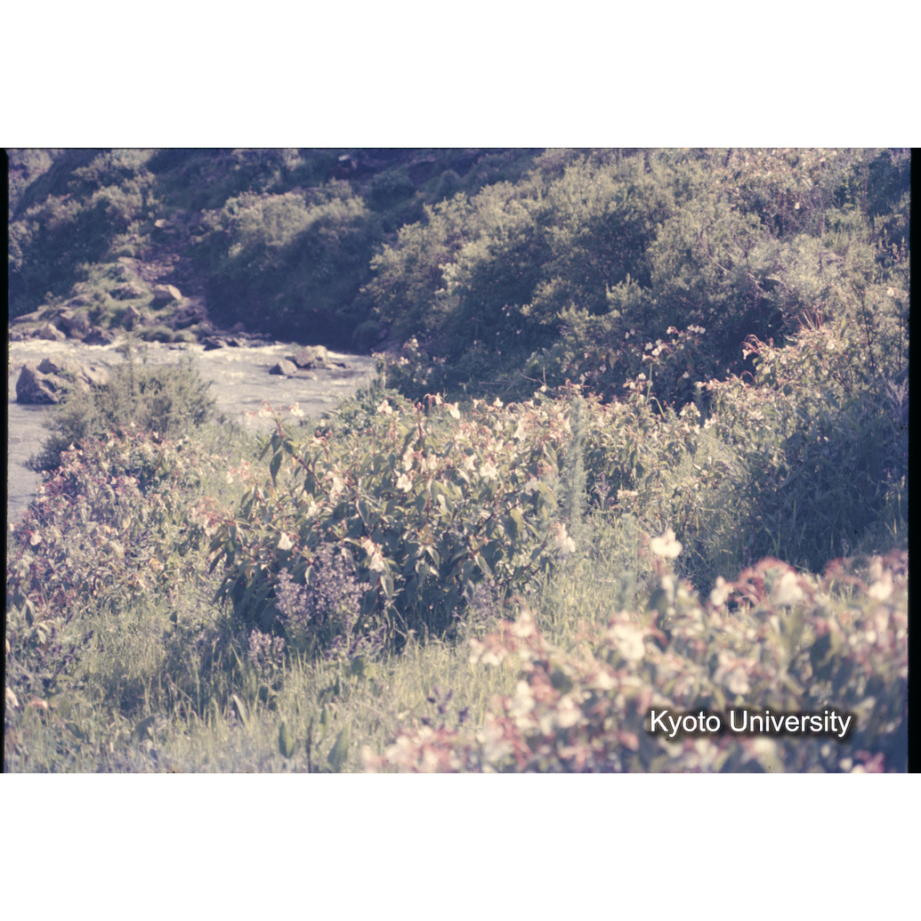 Sm　1973　1330 (1)