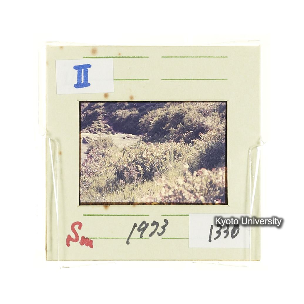 Sm　1973　1330 (2)