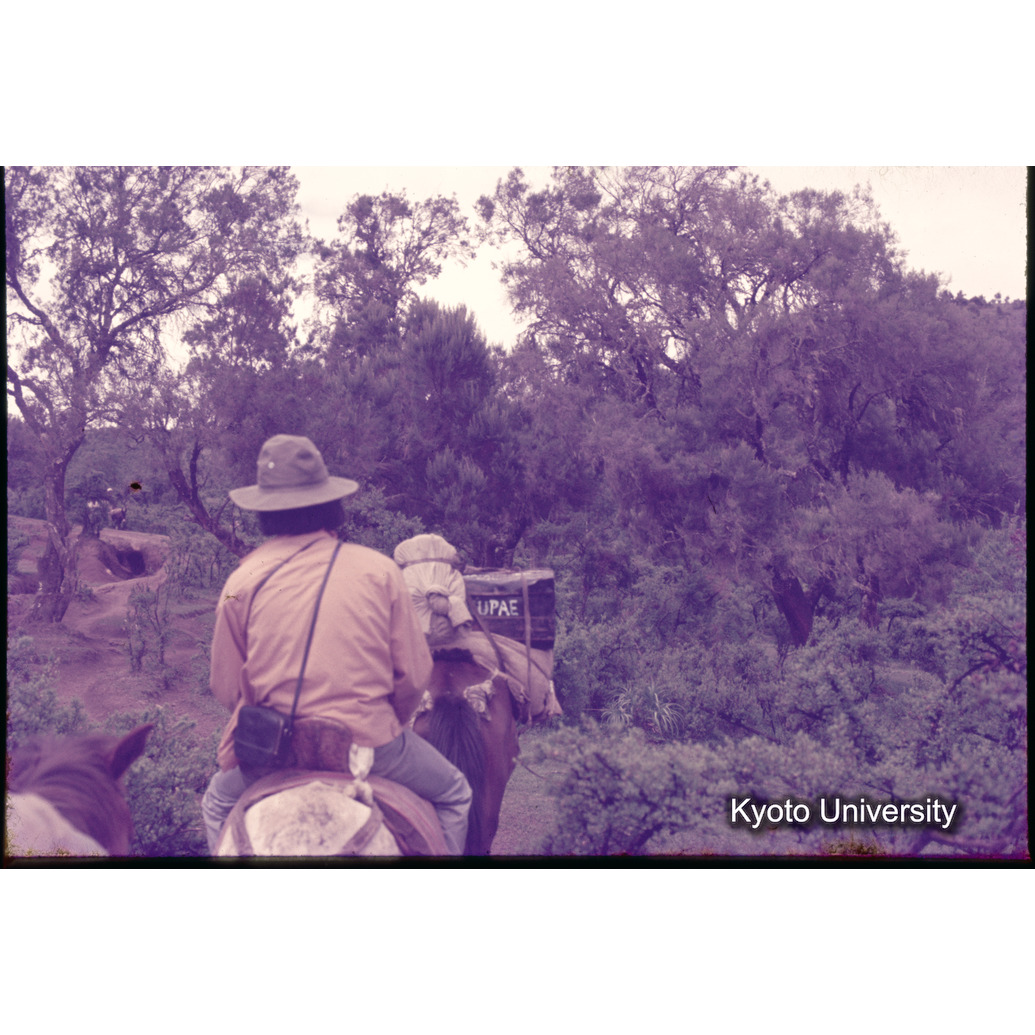 Sm　1973　1449 (1)