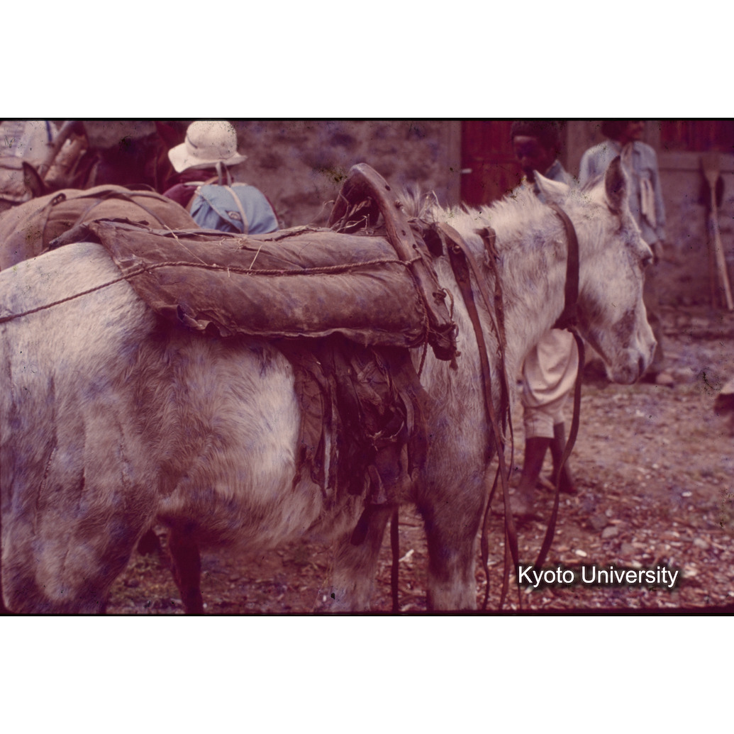 Sm　1973　1464 (1)