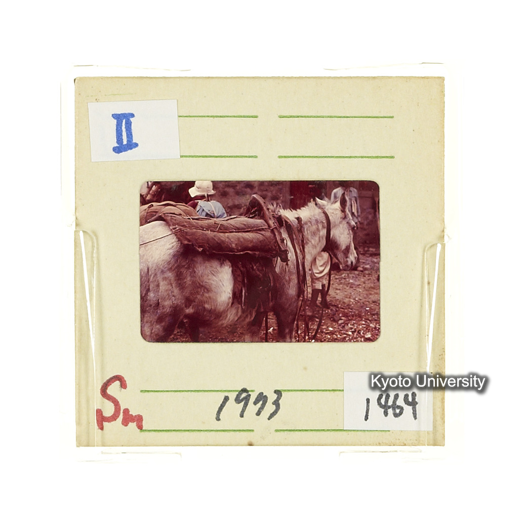 Sm　1973　1464 (2)