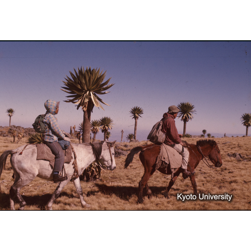 Sm　1973　1480 (1)