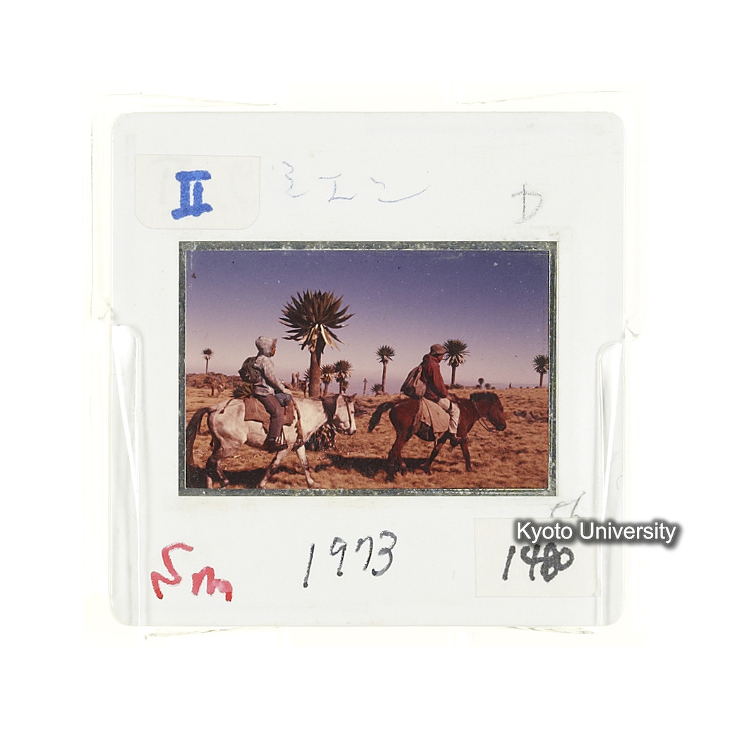 Sm　1973　1480 (2)