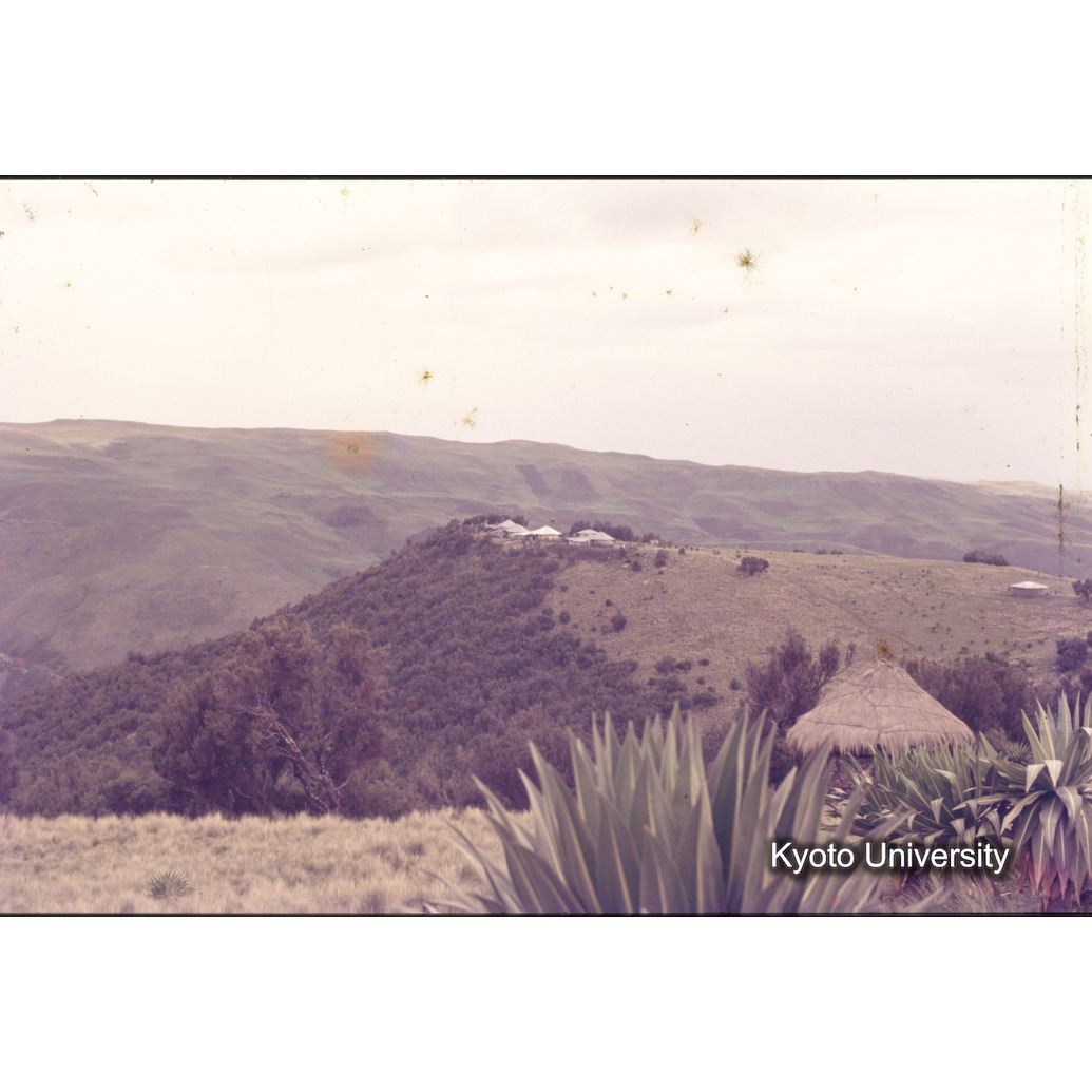 Sm　1973　R75　●[赤色シール] (1)