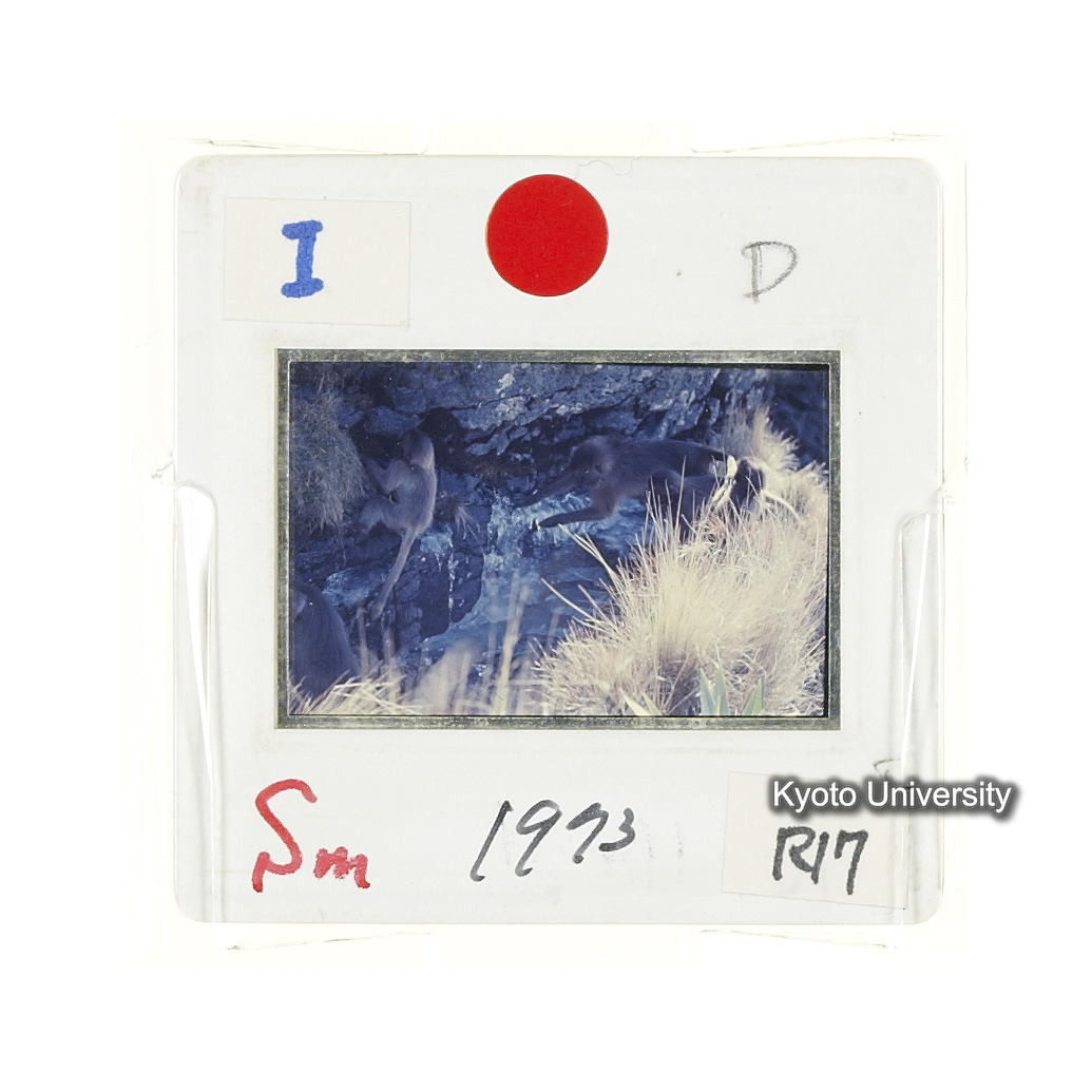 Sm　1973　R17　●[赤色シール] (2)