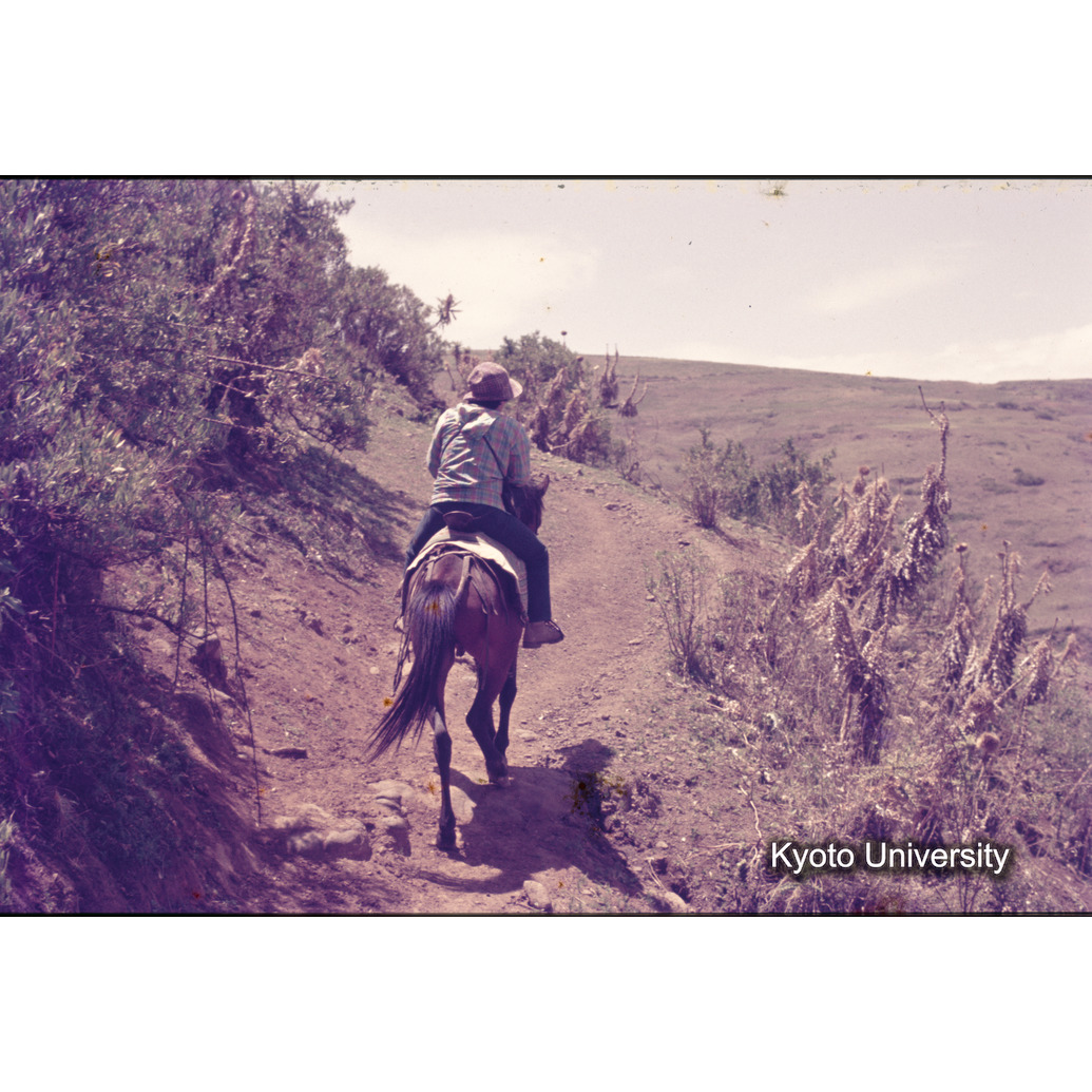 Sm　1973　R69　●[赤色シール] (1)