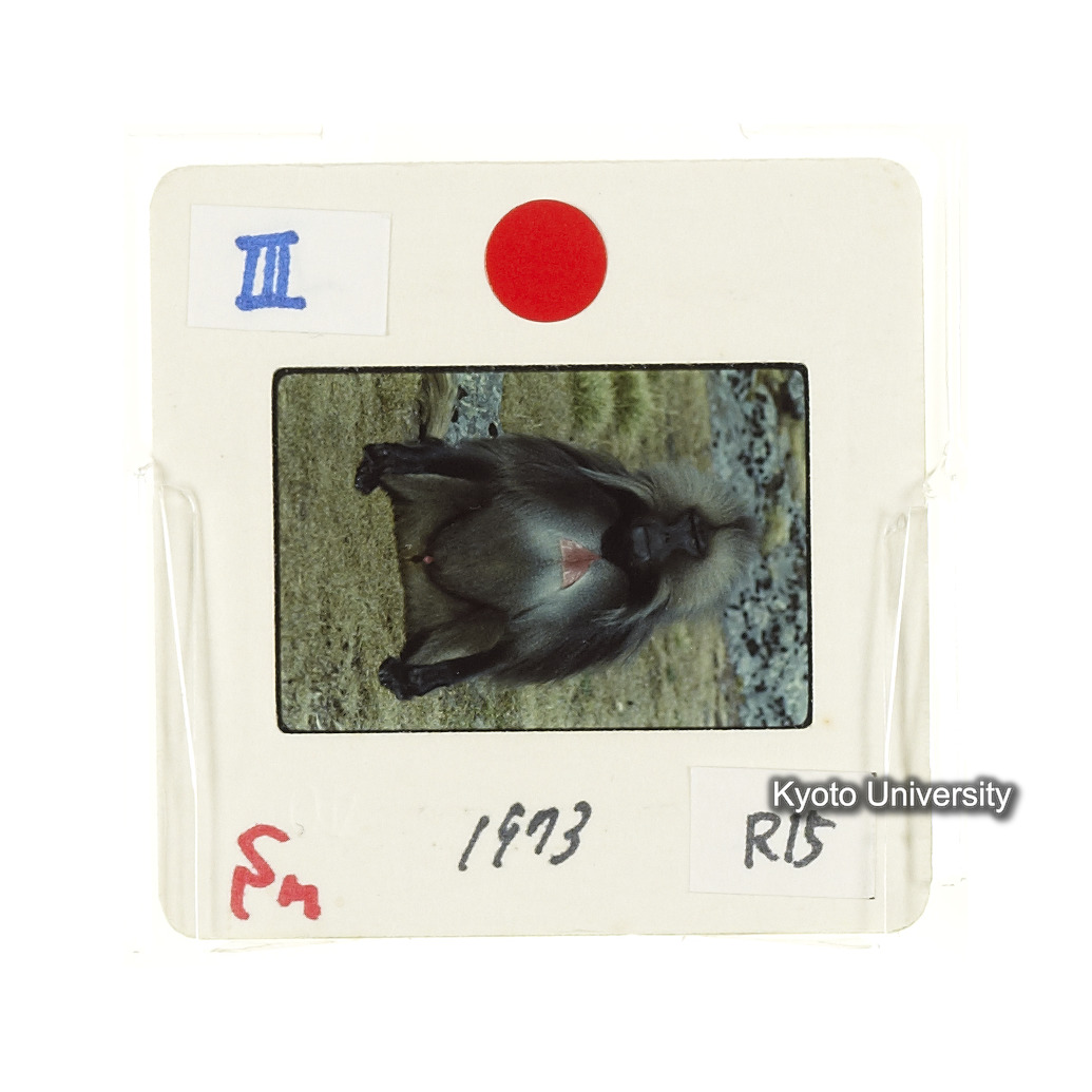 Sm　1973　R15　●[赤色シール] (2)