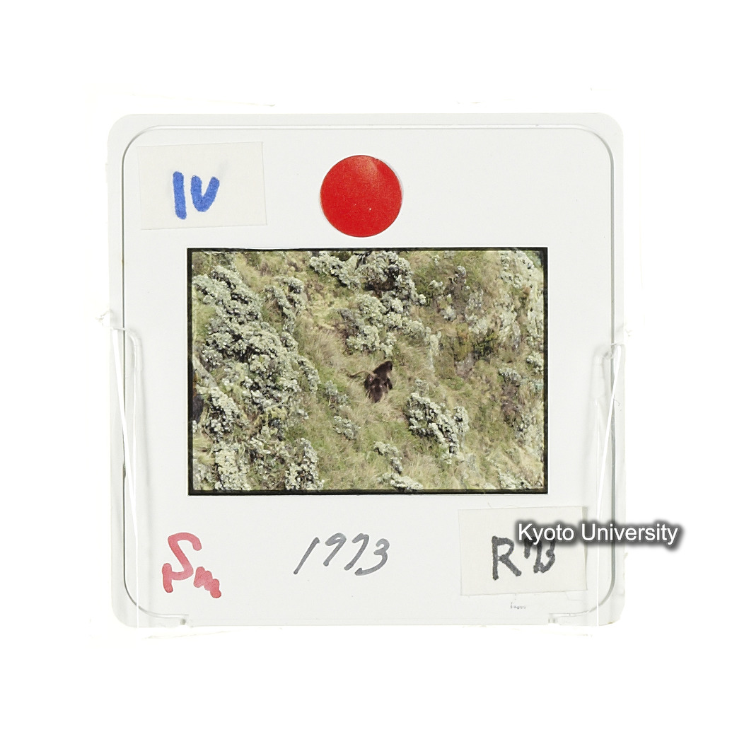 Sm　1973　R73　●[赤色シール] (2)