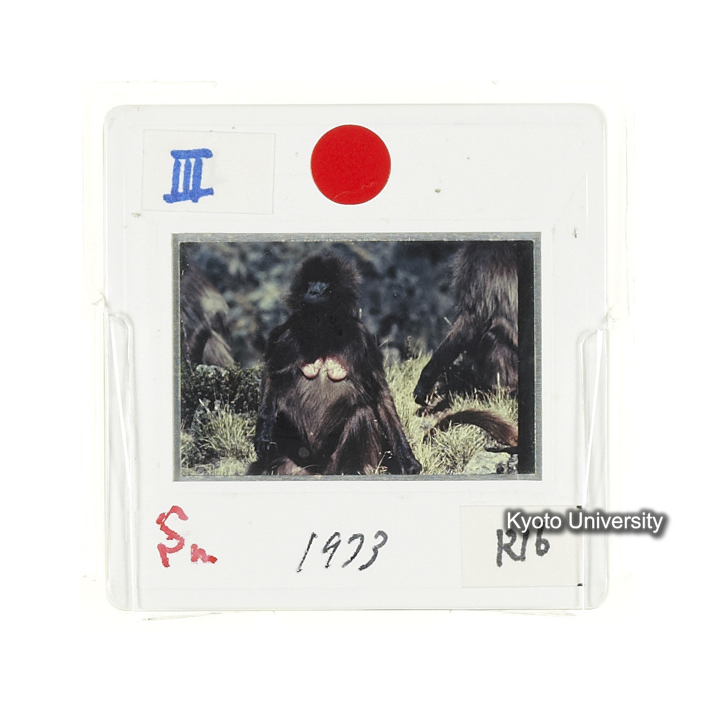 Sm　1973　R16　●[赤色シール] (2)