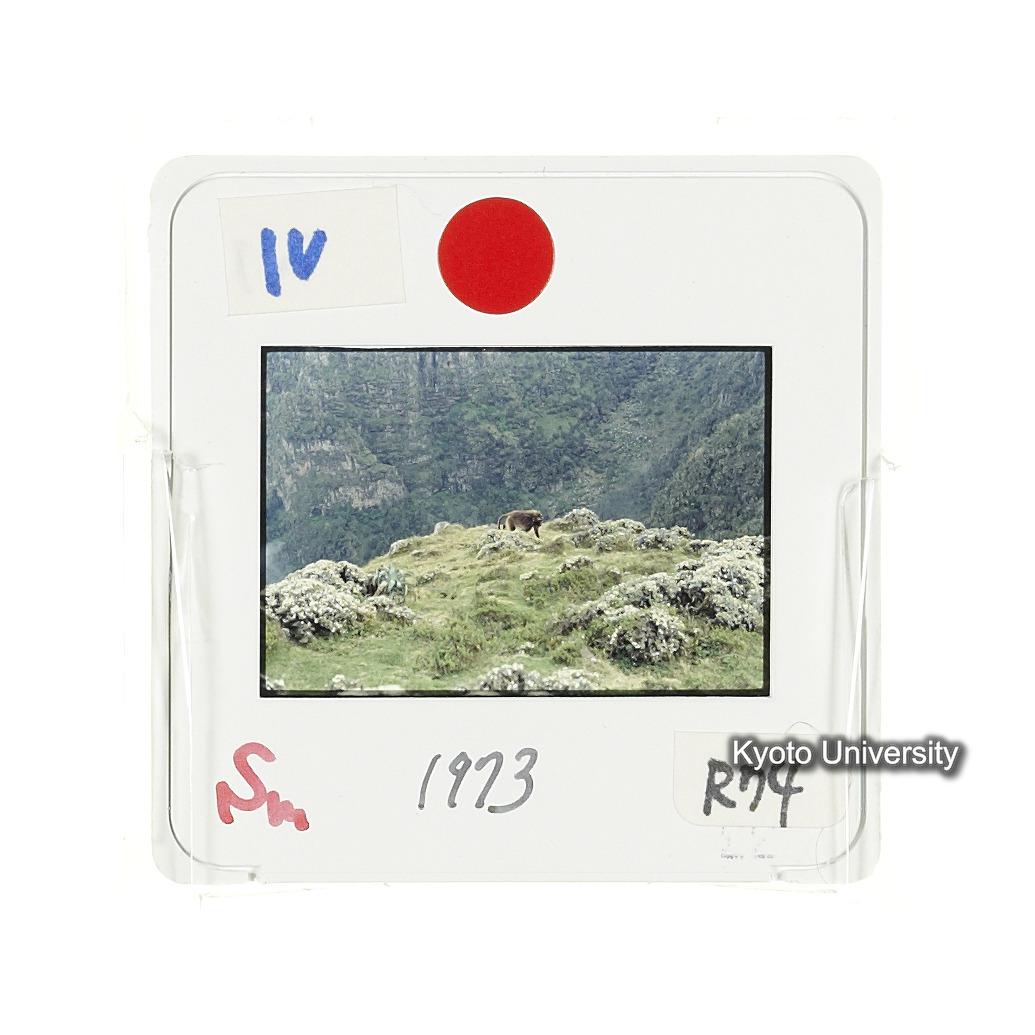 Sm　1973　R74　●[赤色シール] (2)