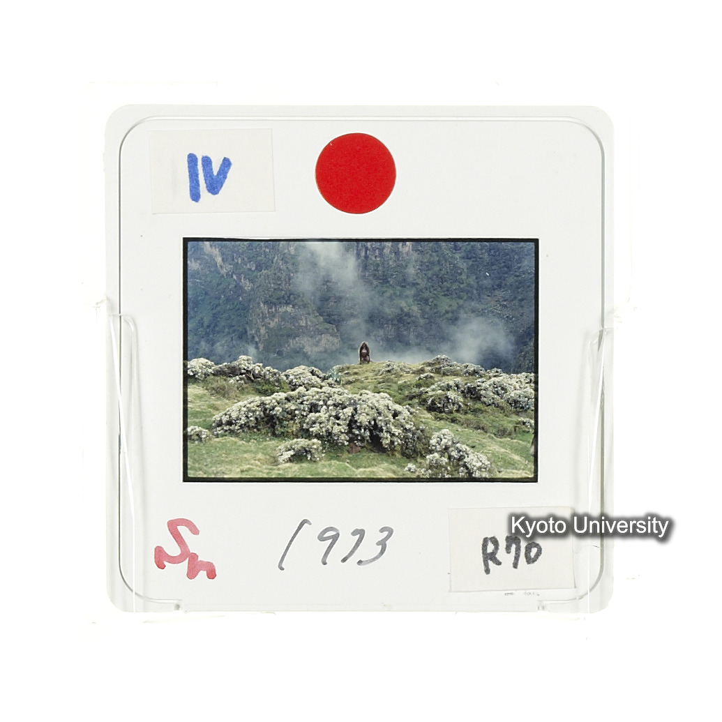 Sm　1973　R70　●[赤色シール] (2)