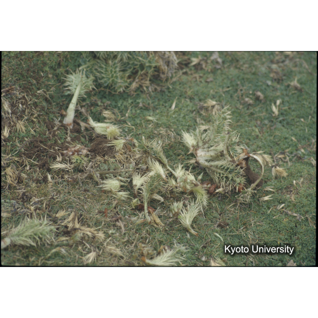 Sm　1973　R76　●[赤色シール] (1)