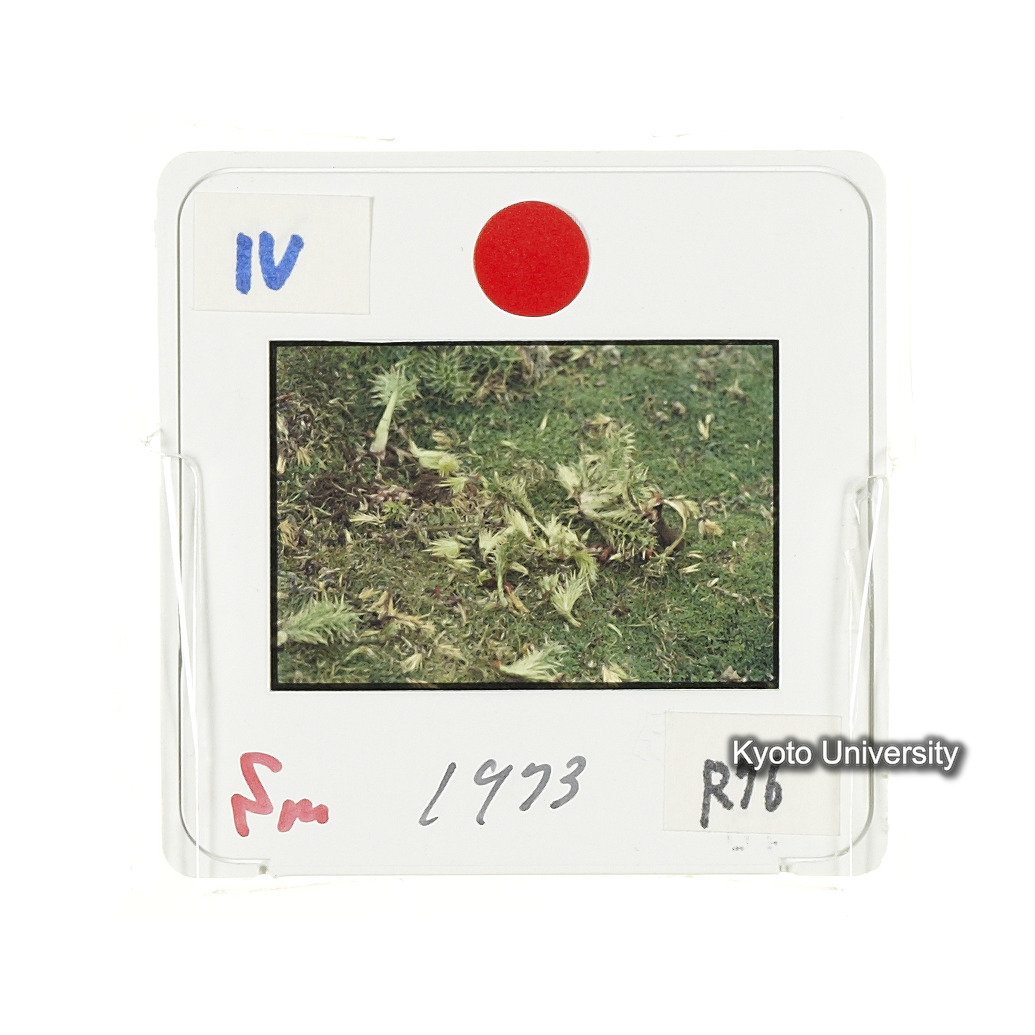Sm　1973　R76　●[赤色シール] (2)