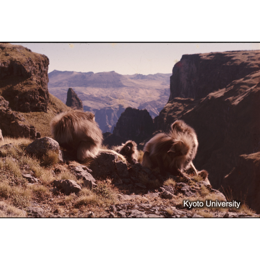 Sm　1973　R42　●[赤色シール] (1)