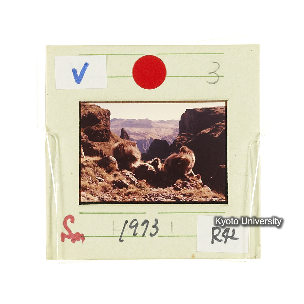 Sm　1973　R42　●[赤色シール] (2)