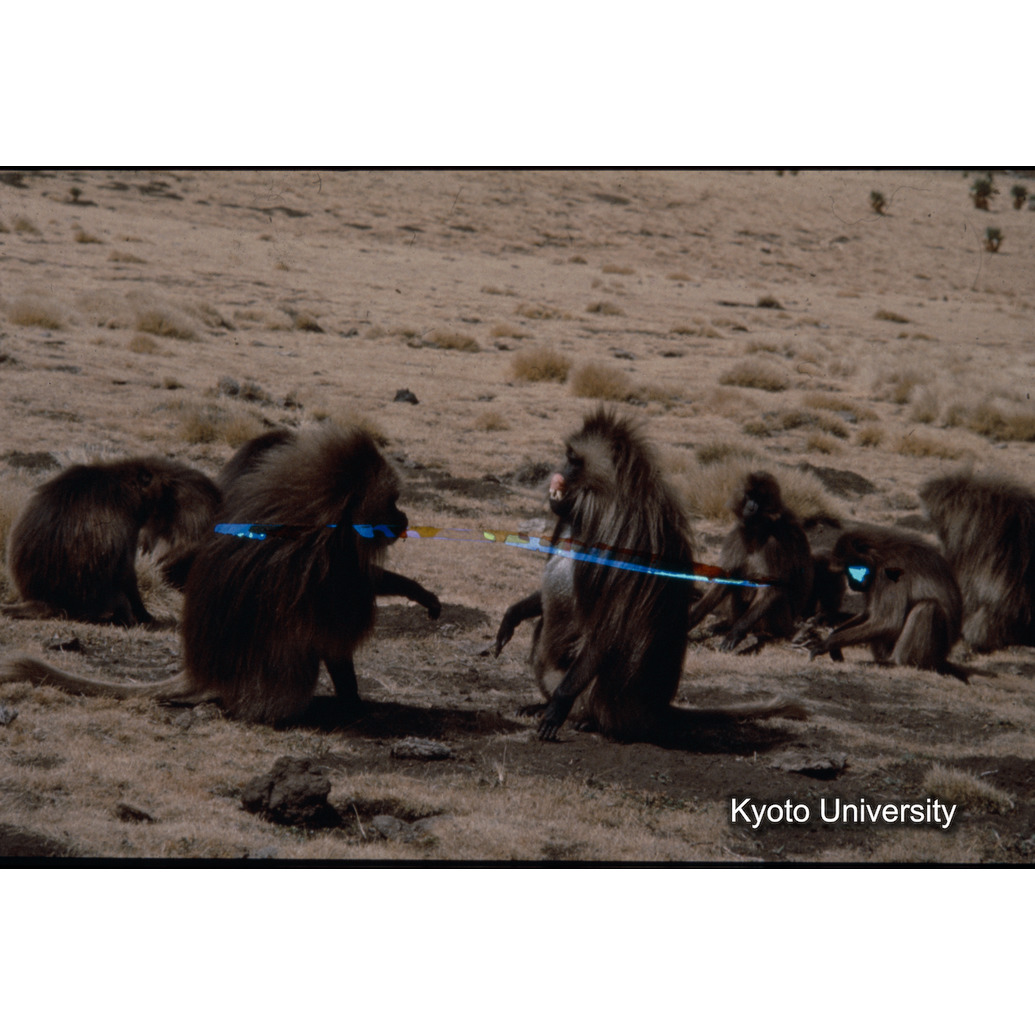 Sm　1973　R58　●[赤色シール] (1)