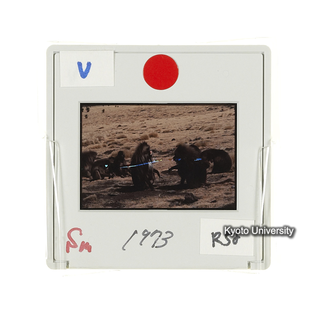 Sm　1973　R58　●[赤色シール] (2)