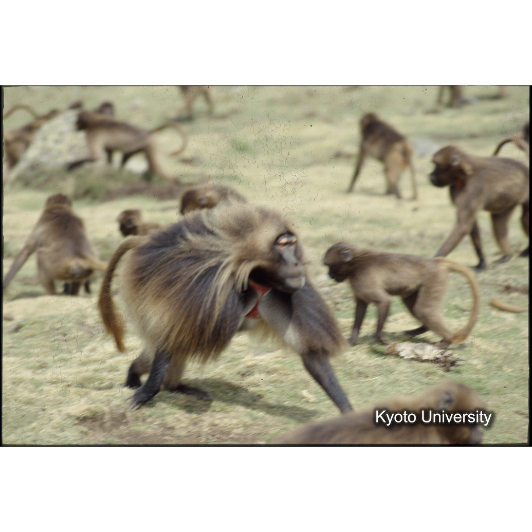 Sm　1973　R24　●[赤色シール] (1)