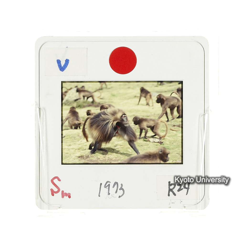 Sm　1973　R24　●[赤色シール] (2)