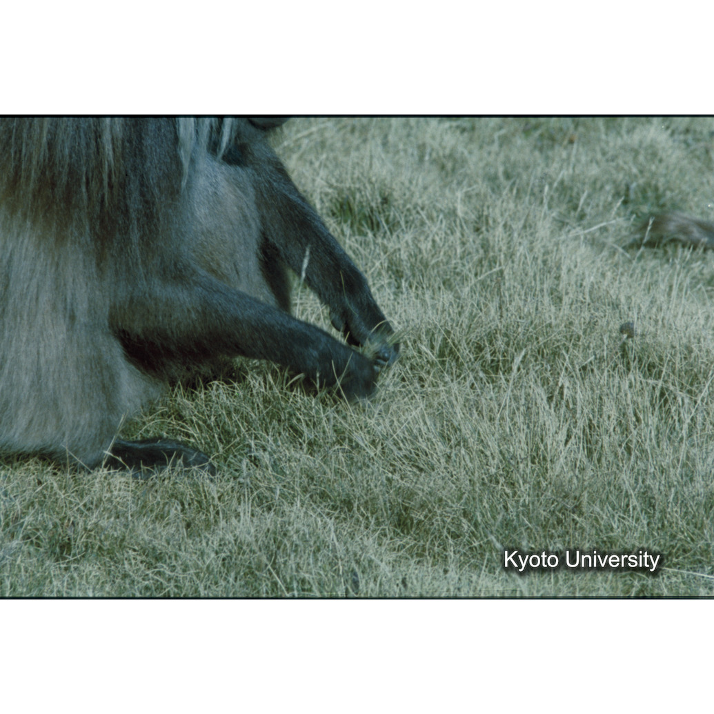 Sm　1973　R18　●[赤色シール] (1)