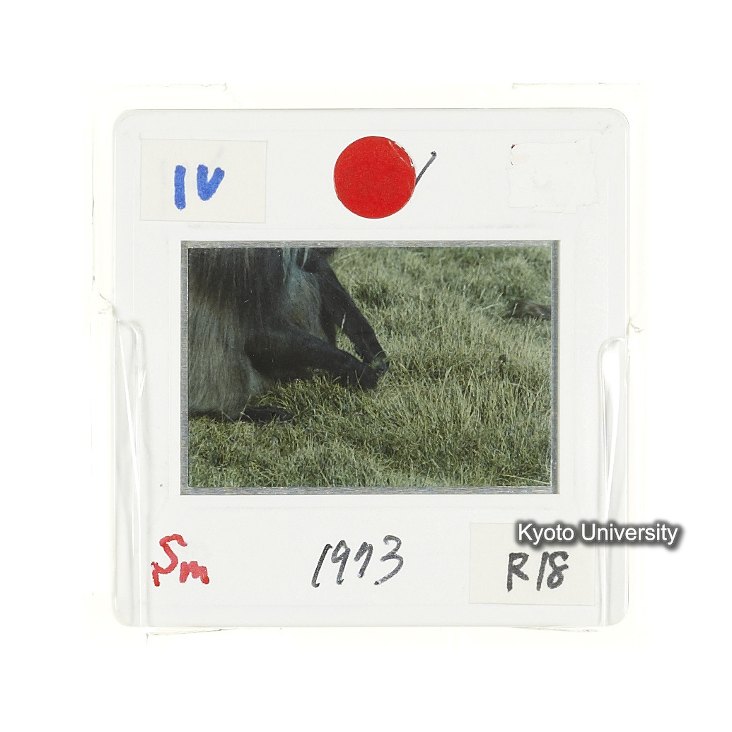 Sm　1973　R18　●[赤色シール] (2)