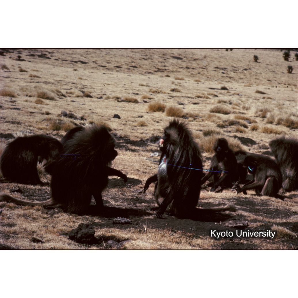 Sm　1973　R28　●[赤色シール] (1)