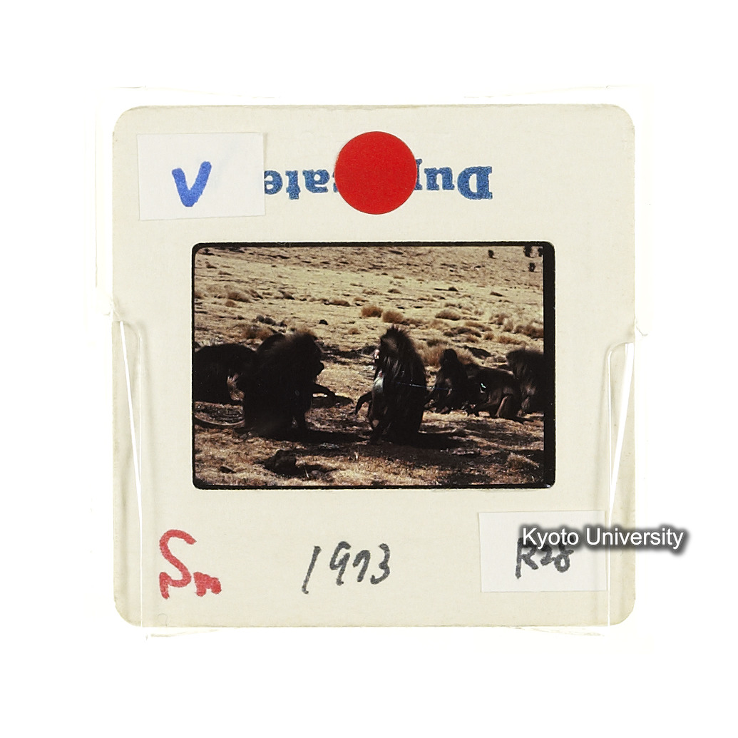 Sm　1973　R28　●[赤色シール] (2)