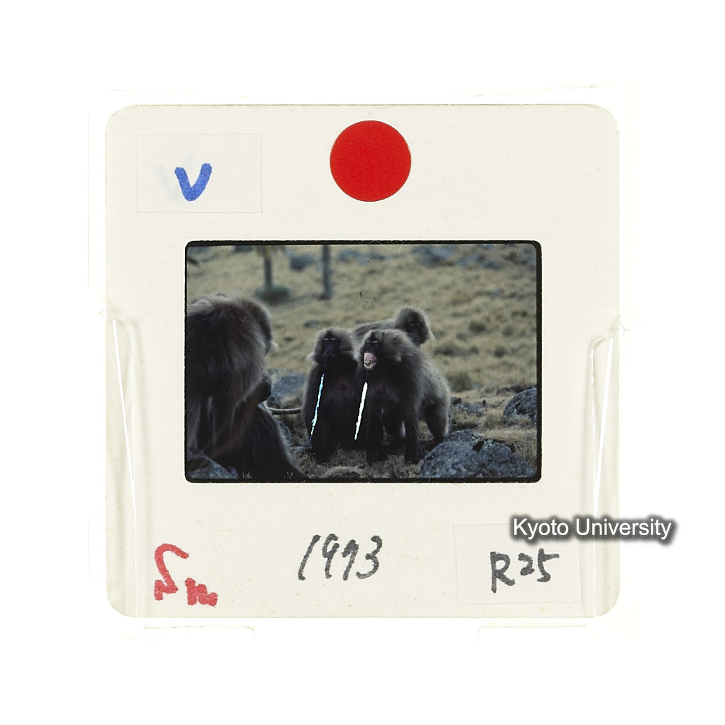 Sm　1973　R25　●[赤色シール] (2)