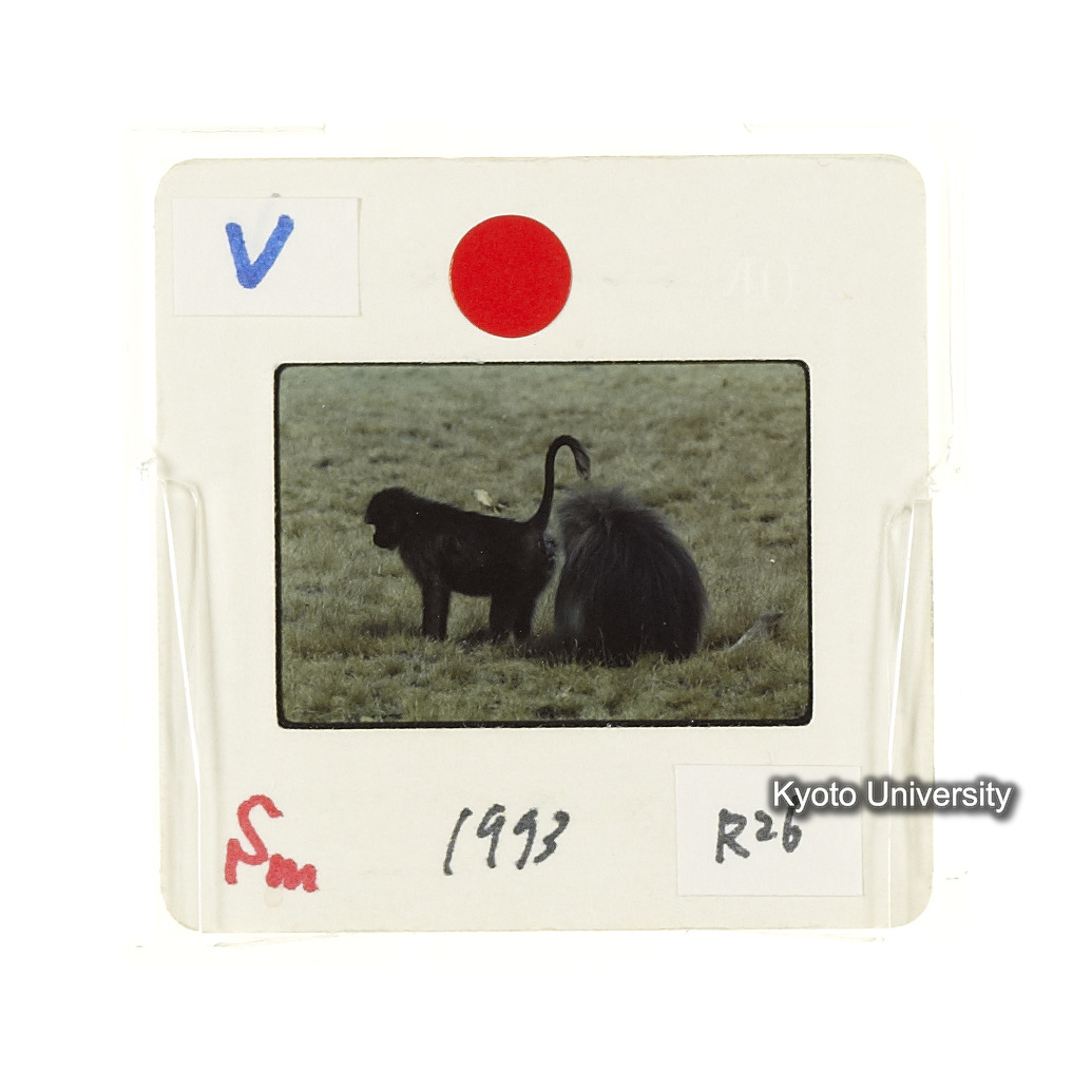 Sm　1973　R26　●[赤色シール] (2)