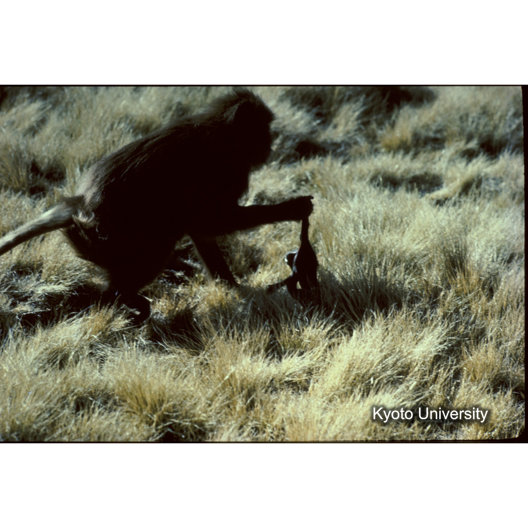 Sm　1973　R20　●[赤色シール] (1)