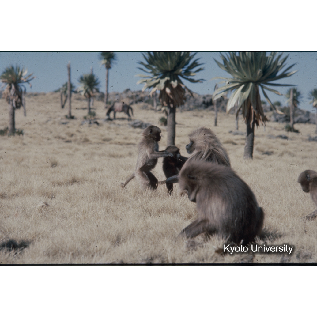 Sm　1973　R54　●[赤色シール] (1)