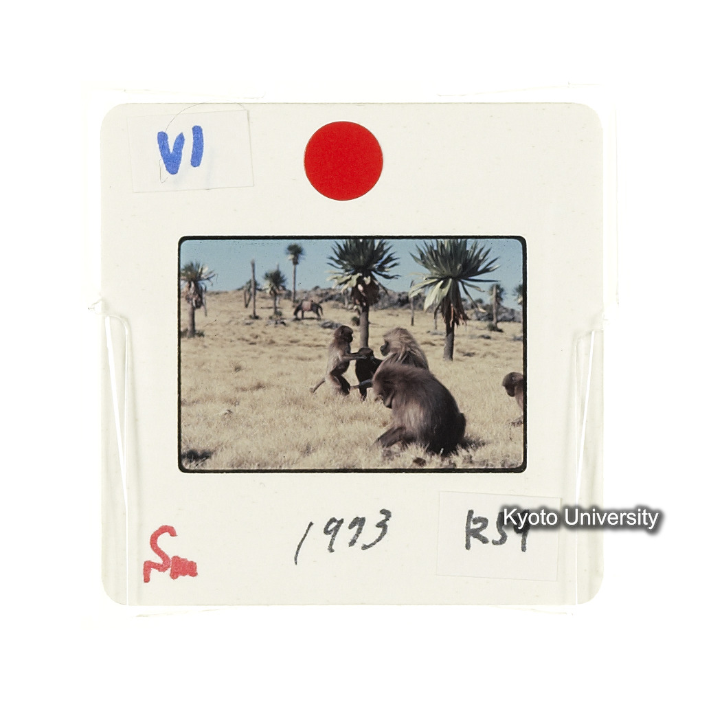 Sm　1973　R54　●[赤色シール] (2)