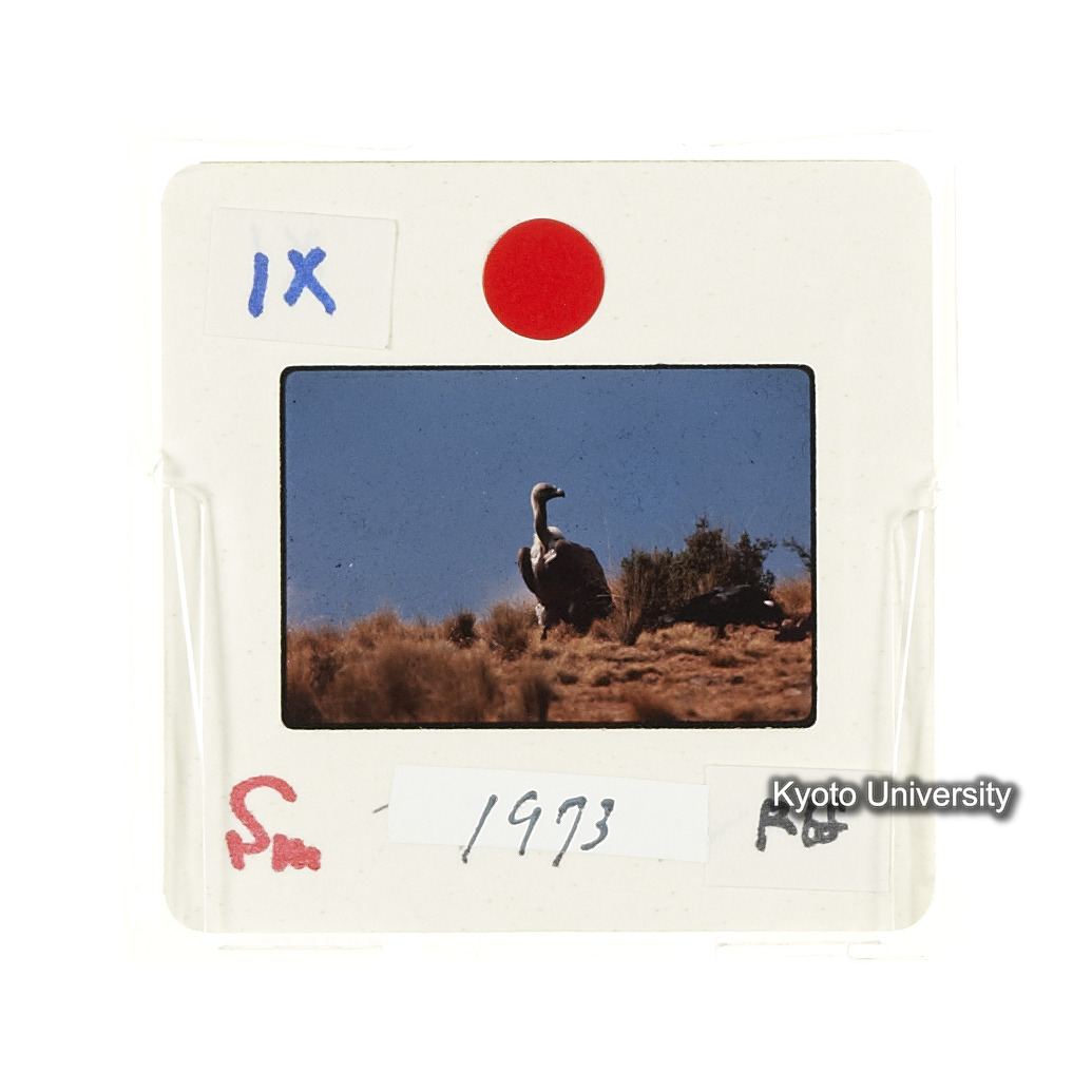 Sm　1973　R68　●[赤色シール] (2)