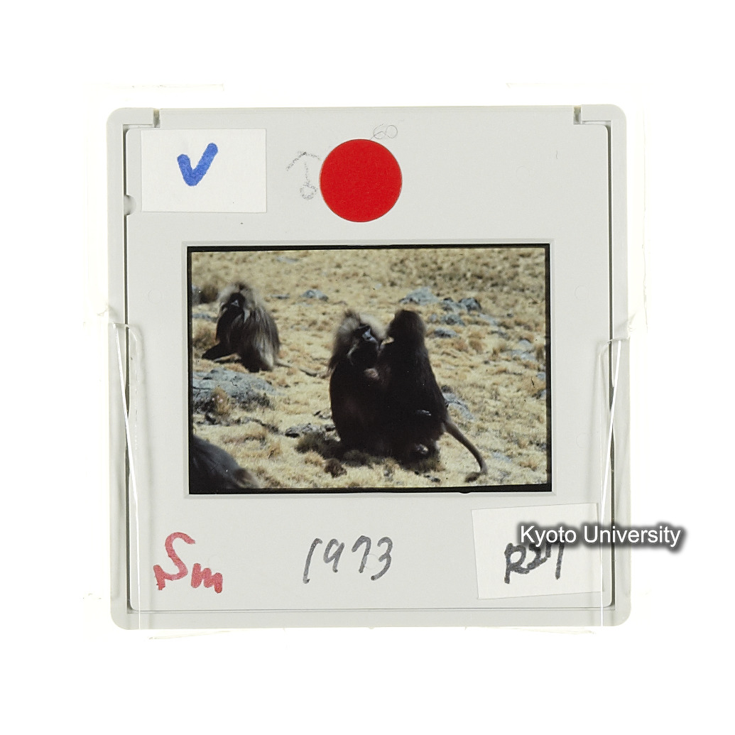 Sm　1973　R27　●[赤色シール] (2)