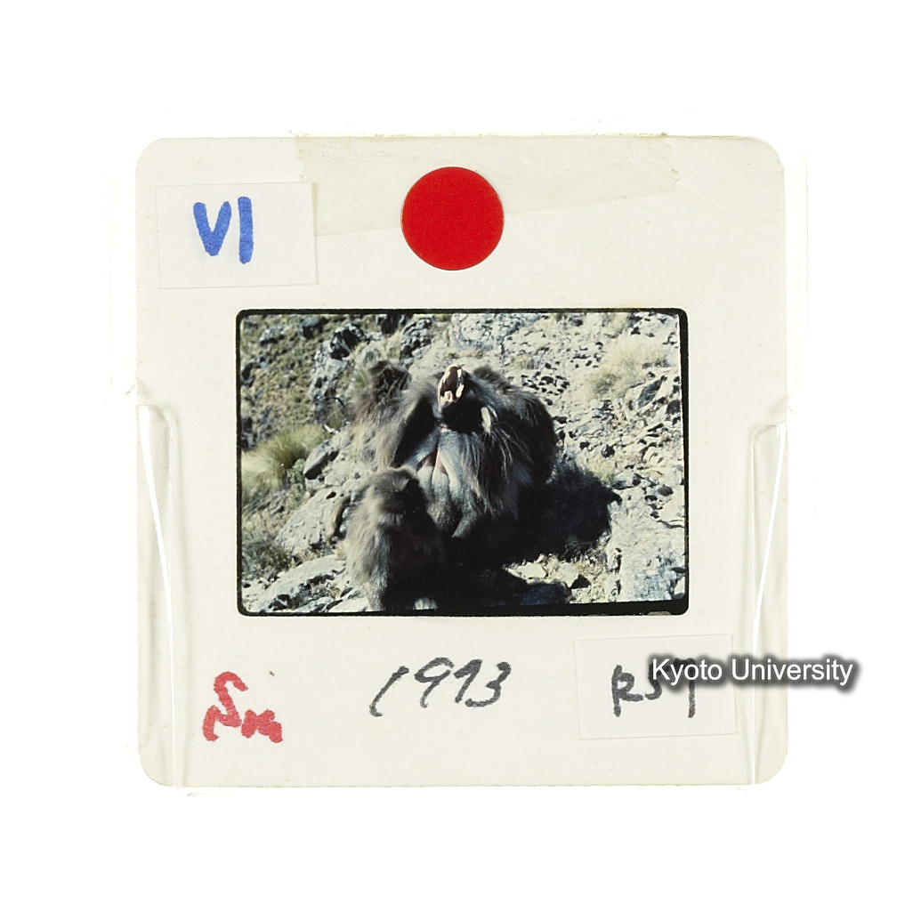 Sm　1973　R57　●[赤色シール] (2)